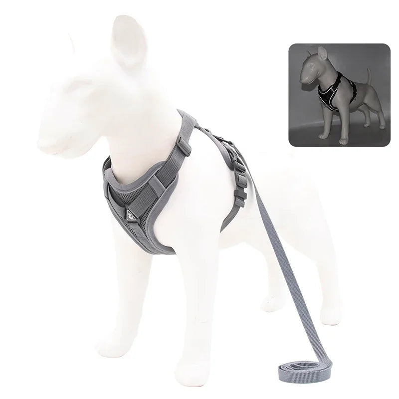 No-Pull Reflective Dog Harness & Leash Set